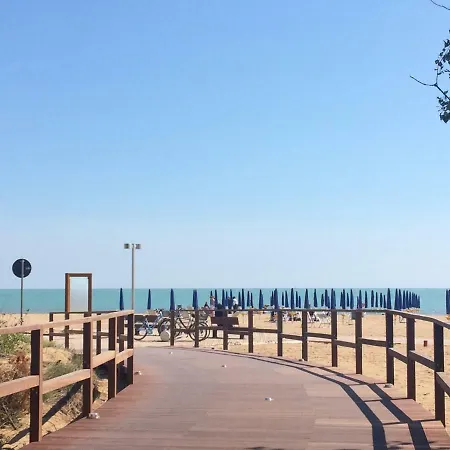Gabbiano - *