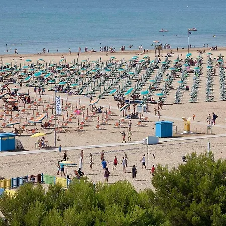 Gabbiano - * Bibione