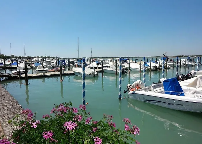 Gabbiano -